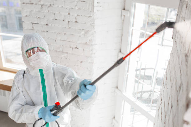 George, IA Mold Remediation Company